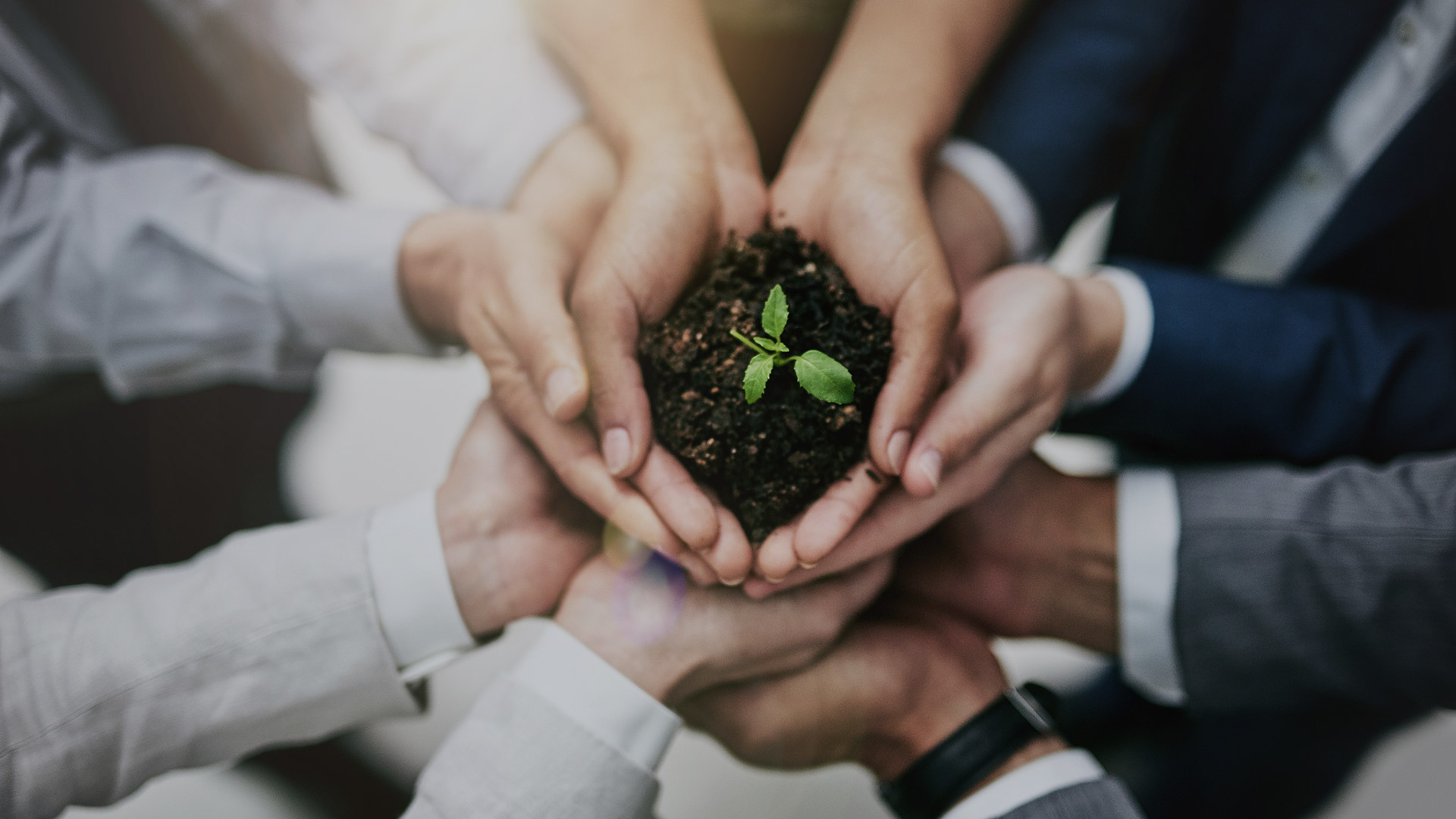 Clients connected with Green Energy Technology