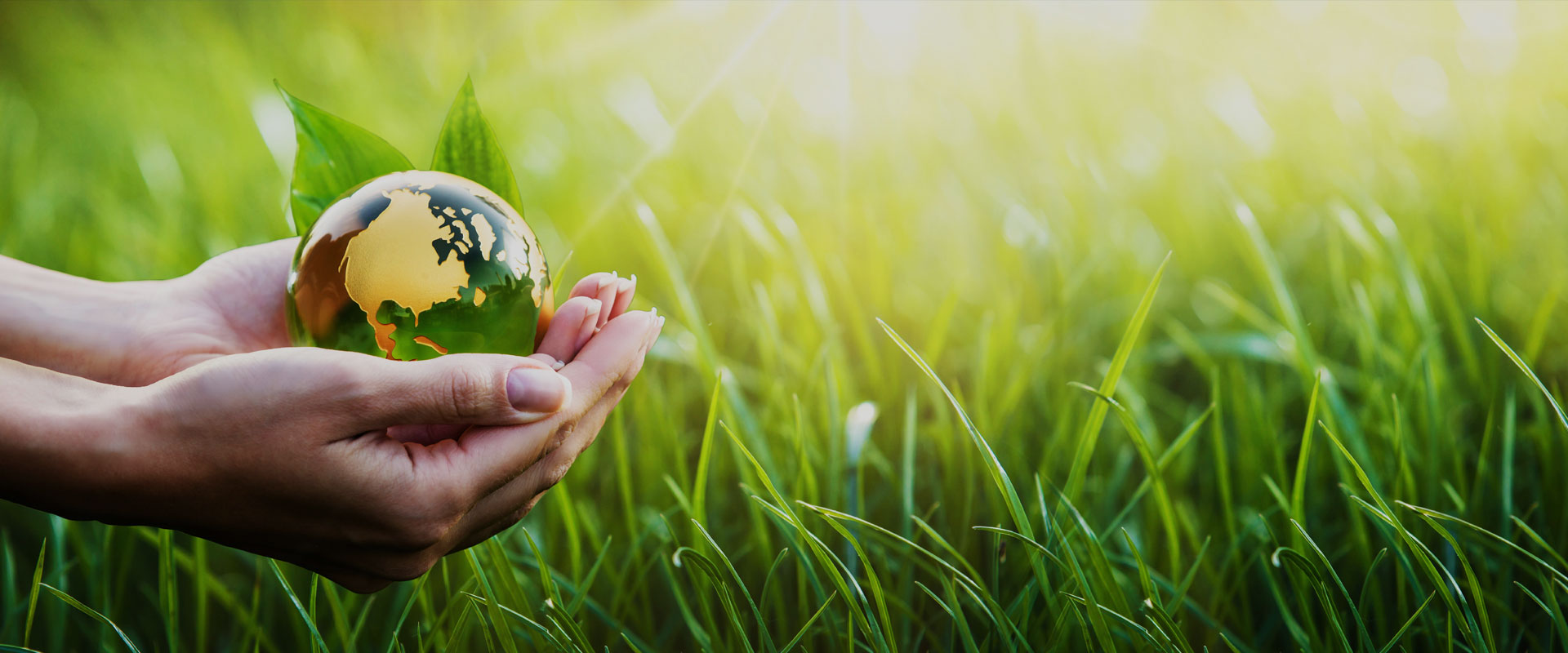 Green Energy Technologies